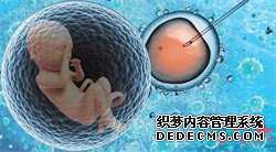 杭州供卵孩子会遗传母亲吗-供卵试管公司哪一家好-杭州试管代孕借卵移植最佳