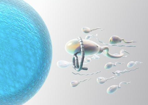 在郑州申请供卵试管技术助孕大概要等多久？