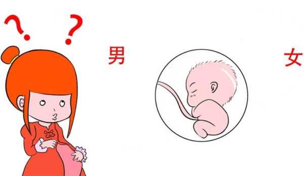 香港代生助孕机构,去香港做试管需要中介吗？
